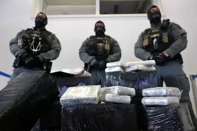 Germany Seizes Over 8 Tons of Cocaine in Cocoa Bean Container