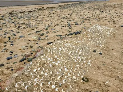 Hidden Valley: Vanished Seaside Community Emerges from Sand Dunes