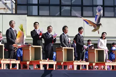Japan Releases 40 Extinct Crested Ibises Back into the Wild