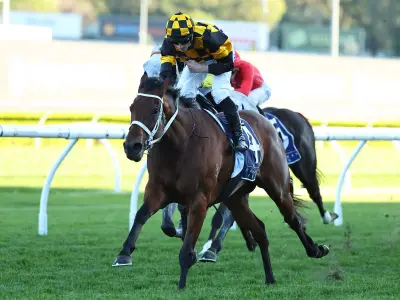 Joliestar Can Win Queen Elizabeth II Stakes at Royal Ascot 2026