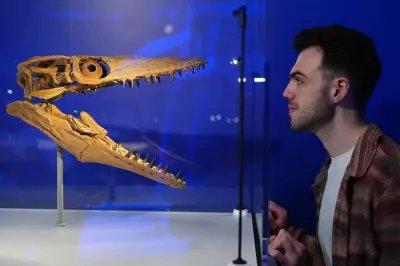 Jurassic Oceans Exhibition Warns of Ecosystem Collapse, Offers Hope