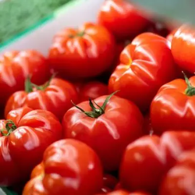 Keep Tomatoes Fresh for 2 Weeks With Simple Storage Tips