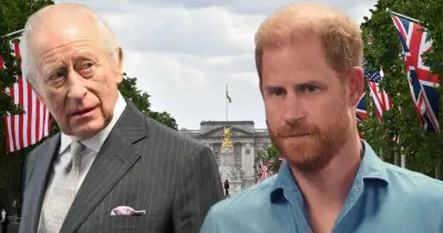 King Charles Warned He May Be Misjudging British Public on Harry Visit