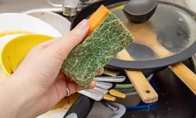 Kitchen Sponges Shed Millions of Microplastics During Dishwashing