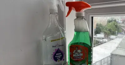 Mr Muscle vs White Vinegar: Which Budget Window Cleaner Is Better?