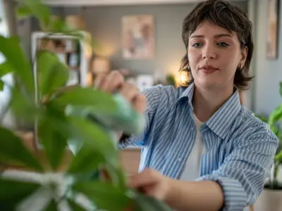 Plant Expert's Watering Trick to Keep Houseplants Thriving in Heatwave