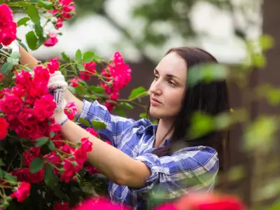 Prune These Plants in June for Repeat Flowering All Year