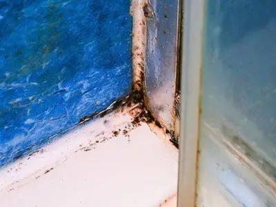 Remove Mould from Silicone Sealant with White Vinegar
