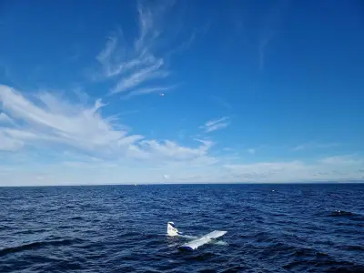 Rescuers Update on Two Casualties in Plane Crash into Sea off Wales
