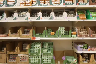 Sainsbury’s to Phase Out Brown Eggs for Lower Carbon White Eggs
