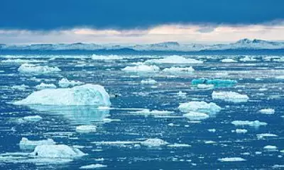 Socialist Climate Plan: Halve Work Hours, Cut Red Meat