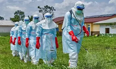 Three New Vaccines in Development for Rare Ebola Strain as Outbreak Worsens