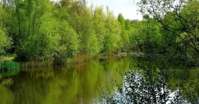 UK Beach at West Sussex Lake Closed After Multiple Illnesses Reported