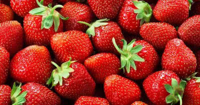 UK Family-Run Fruit Farm Enters Administration After 50 Years