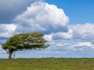 UK Heatwave Set to Continue All Summer, Old Weather Proverb Suggests