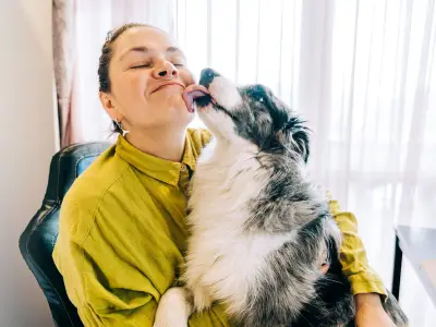 Vet Explains Sweet Reason Your Dog Keeps Licking Your Face, Hands and Feet