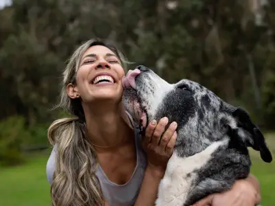 Vet Reveals What Dog Licking Your Face, Hands or Feet Really Means