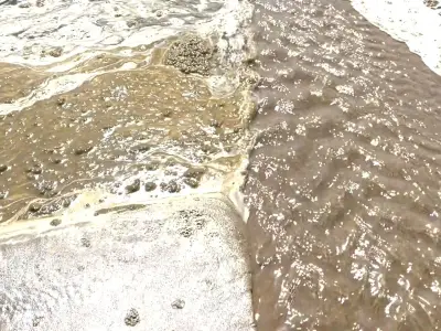 Welsh Beach Visitor Mistook Algal Bloom for Sewage, NRW Says