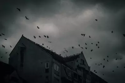Why Some People Are More Prone to Paranormal Experiences, Expert Explains