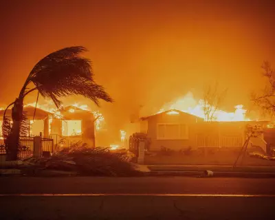 Wildfires Devastated Wealthy Regions in 2025 Despite Global Burn Area Drop