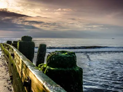 Woman Died Trying to Save Dog in Sea Named as Theresa Wheelhouse