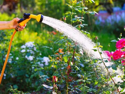 Woman Nearly in Tears Over Free Garden Makeover from 'Hero' Stranger