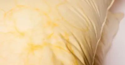 Yellow Duvets and Pillows Whitened with Baking Soda and Dish Soap