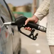 1 in 5 drivers cut household spending to afford fuel costs