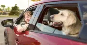 11 Million UK Drivers Risk Unlimited Fine as 38C Heatwave Hits