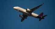 11 Travel Firms Collapse, All Flights Cancelled and Staff Laid Off