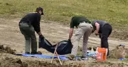 117 Dogs Found Shot Dead at California 'No-Kill' Shelter