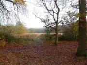 136-Home Estate Plan in Standish Draws Over 100 Objections Over Traffic Fears