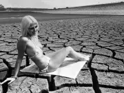 1976 UK Heatwave: Dry Taps, Ladybird Swarms, and Record Temperatures