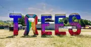 2000trees Festival 2026: 5 Things to Expect and 1 Thing to Prepare For