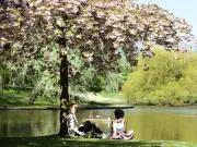 23 Best Parks for Picnics and Summer Walks in Liverpool and Merseyside