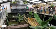 40 Hospital Staff Accessed Boy's Records After Crocodile Attack at UK Zoo