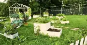 5 Garden Features to Remove That Make Your Home Look Cheap and Tacky