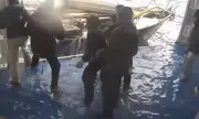 74-Year-Old Sailor Rescued by Cruise Ship After Storm Damages Boat 489 Miles Off Oregon Coast