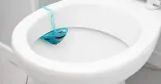 87p Denture Tablets Remove Brown Toilet Stains Without Bleach