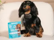 90p a day supplement transforms anxious dog's behaviour, owners say