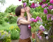 A Week of Sensory Delights: From Drilling Holes to Licking Trees