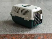 Abandoned Cats with Heartbreaking Note Found Outside Rescue Centre