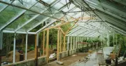 Abandoned garden centre becomes thriving café and social enterprise