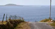 Abandoned Irish Island with Tropical Beaches and Wildlife Beckons
