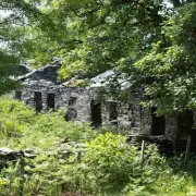 Abandoned Welsh Village Reclaimed by Nature After 1927 Exodus