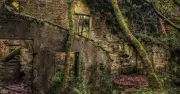 Abandoned Welsh Village Reclaimed by Nature After 2,000 Relocated