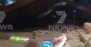 Adelaide grandmother finds squatter living in her attic after loud thud