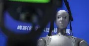 AI Sovereignty Battle Will Make Brexit Look Like a Tea Party, Warn Experts