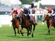 Aidan O'Brien Hits 99 Royal Ascot Wins with One-Eyed Filly Victorious