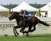 Aidan O'Brien Reaches Century of Royal Ascot Winners with Scandinavia's Gold Cup Victory